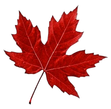 Canada Leaf